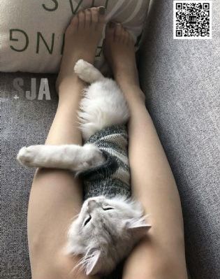 唐舞麟